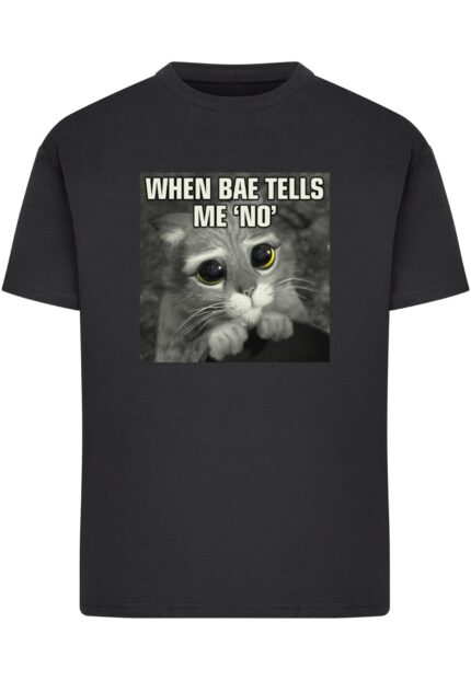 Shrek When Bae tells me no Ladies Tee